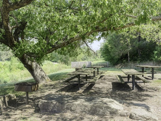 Tables under a beautiful tree in Flat Rock Village